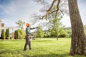  , USA Tree Removal Pros